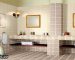 Bathroom ceramic tiles